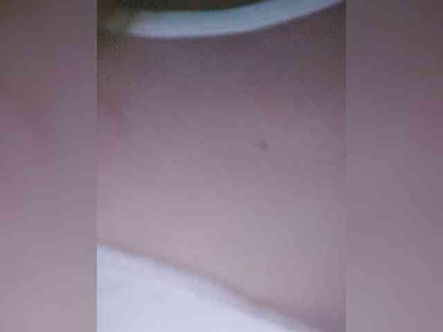 _LittleSammy webcam