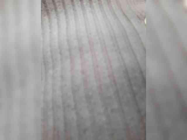 _LittleSammy webcam