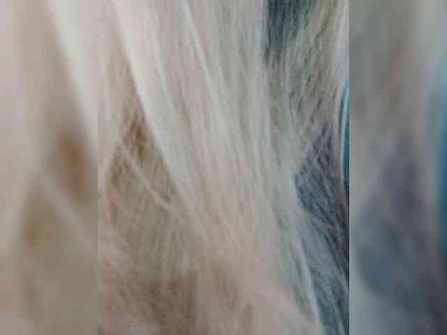 _LittleSammy webcam
