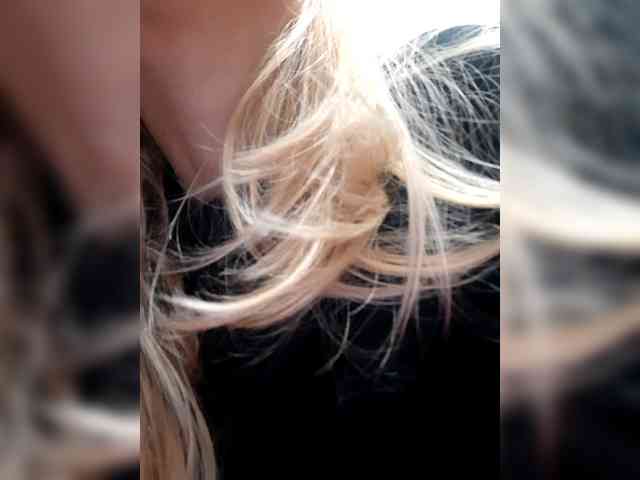_LittleSammy webcam