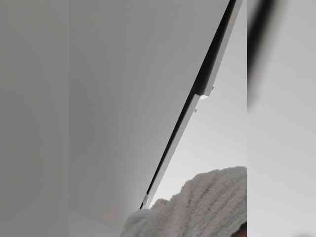 _LittleSammy webcam