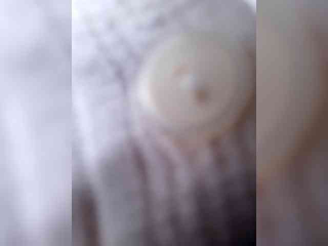 _LittleSammy
