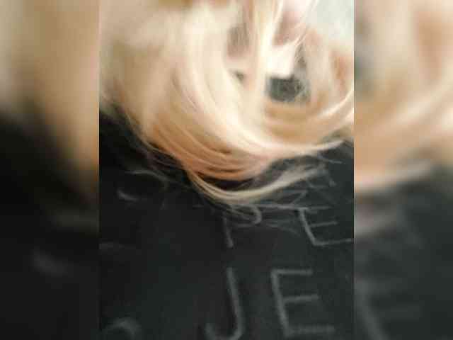 _LittleSammy webcam