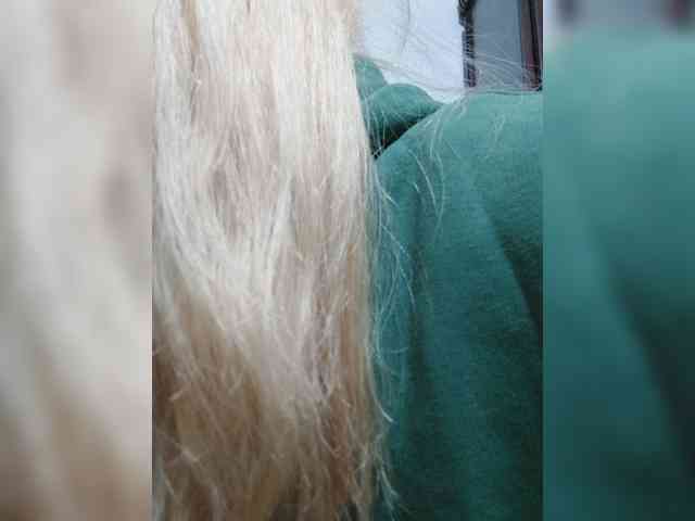 _LittleSammy