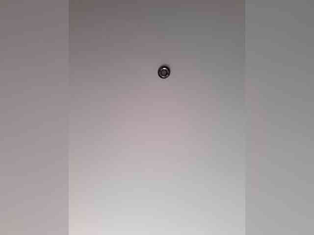 _LittleSammy webcam