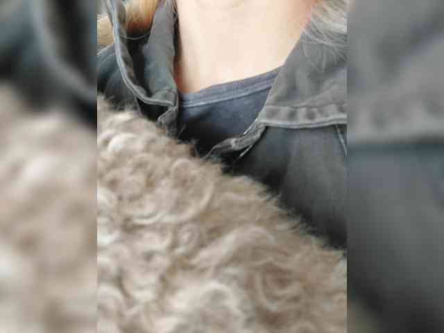_LittleSammy