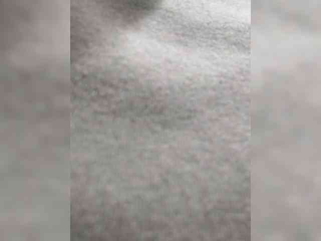 _LittleSammy webcam