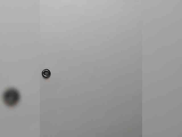 _LittleSammy webcam