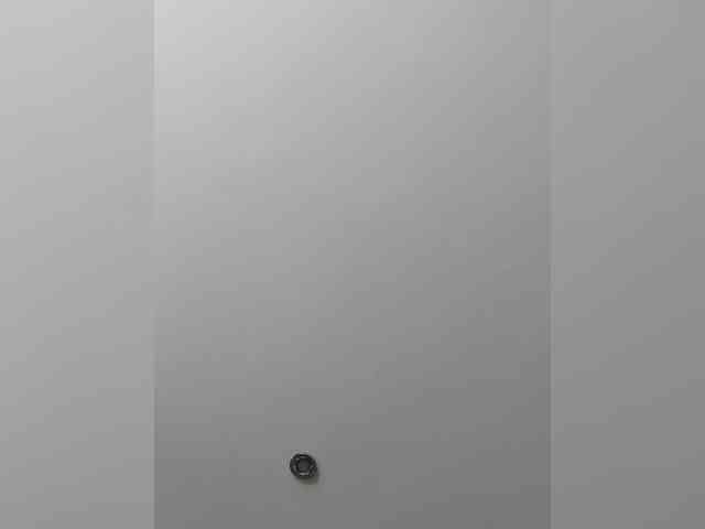 _LittleSammy webcam