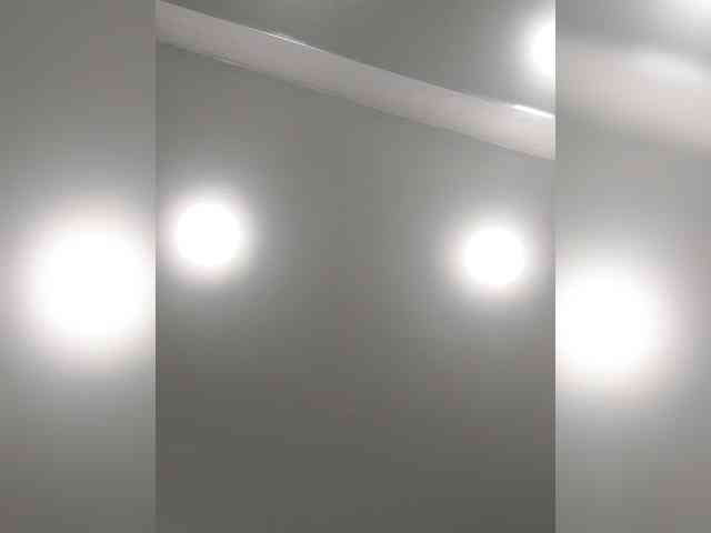 _LittleSammy webcam