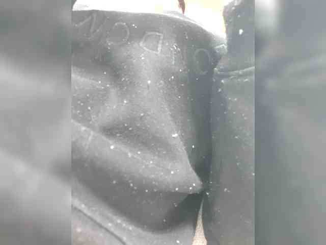 _LittleSammy webcam