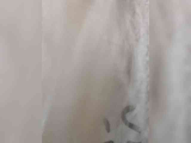 _LittleSammy webcam