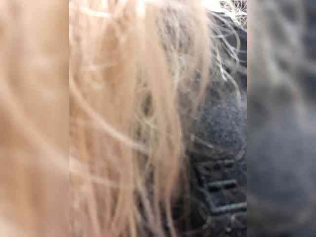 _LittleSammy webcam