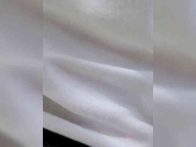 _LittleSammy webcam