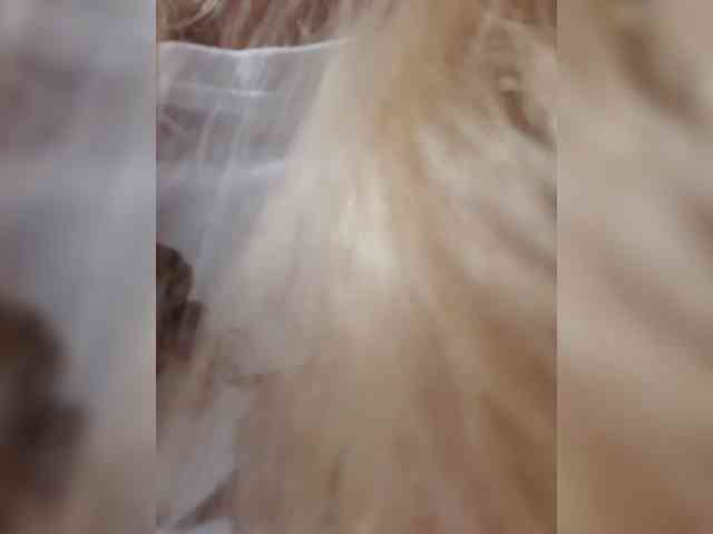 _LittleSammy webcam