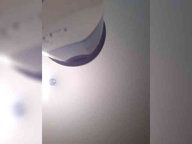 _LittleSammy webcam