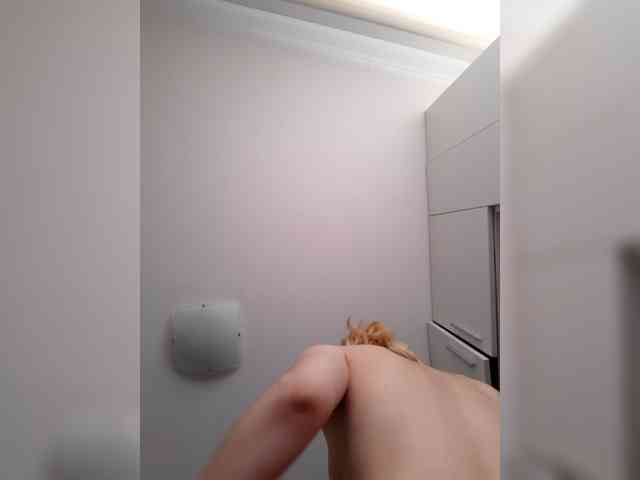 _LittleSammy webcam