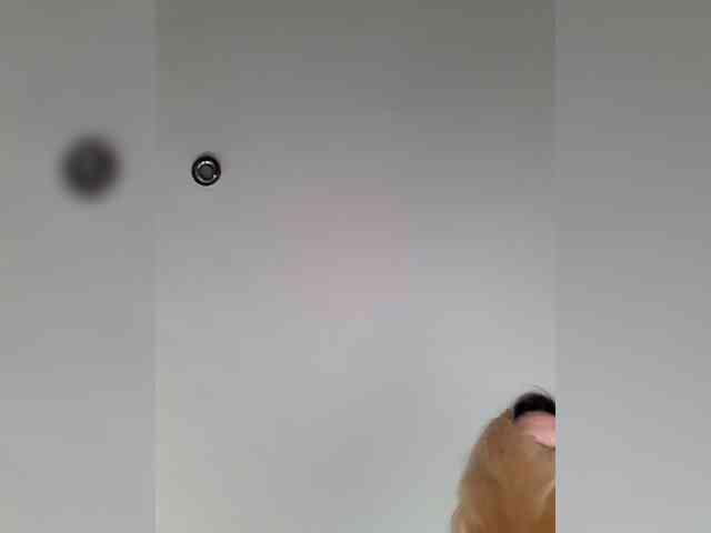 _LittleSammy webcam