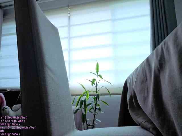 _LittleSammy webcam