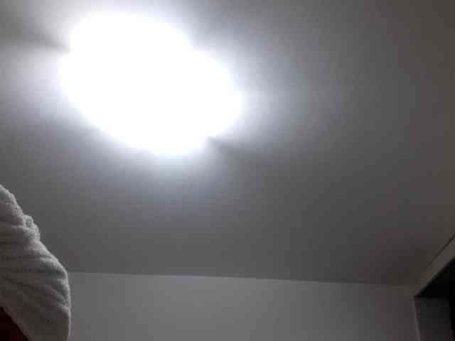 _LittleSammy webcam