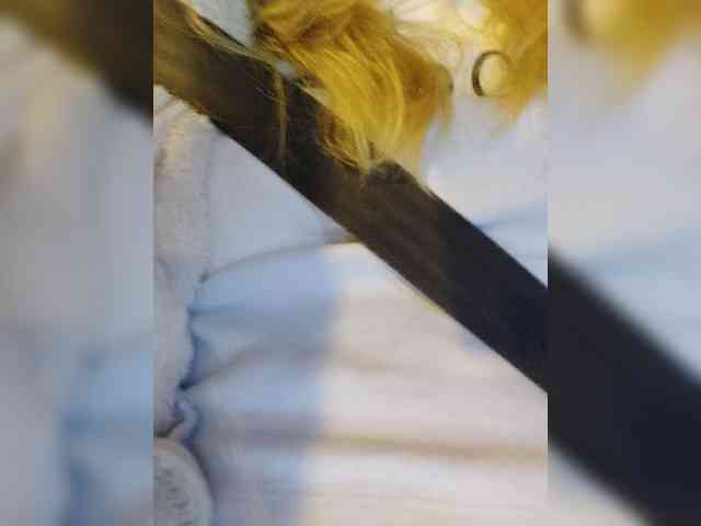 _LittleSammy webcam