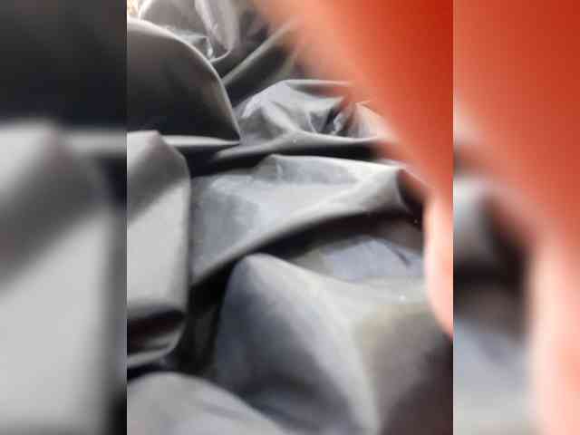 _LittleSammy webcam