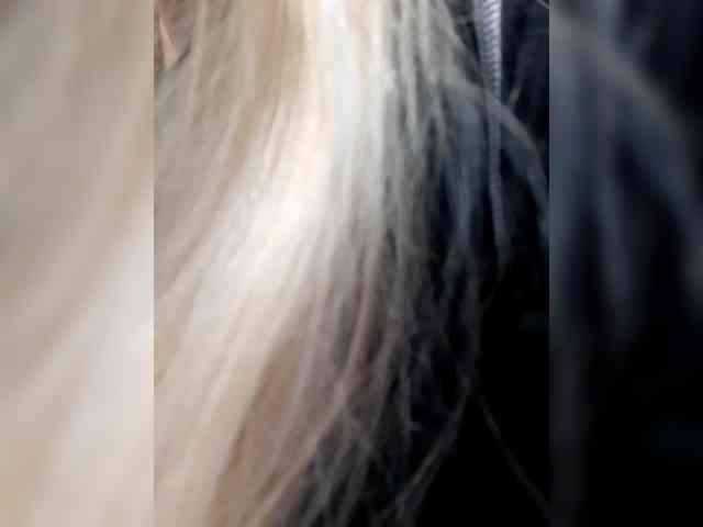 _LittleSammy