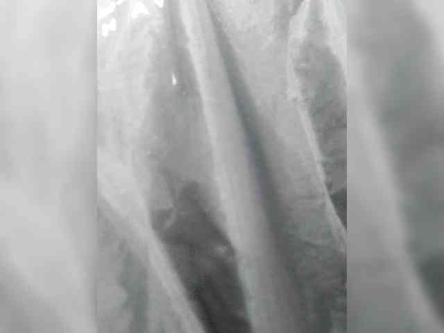 _LittleSammy webcam