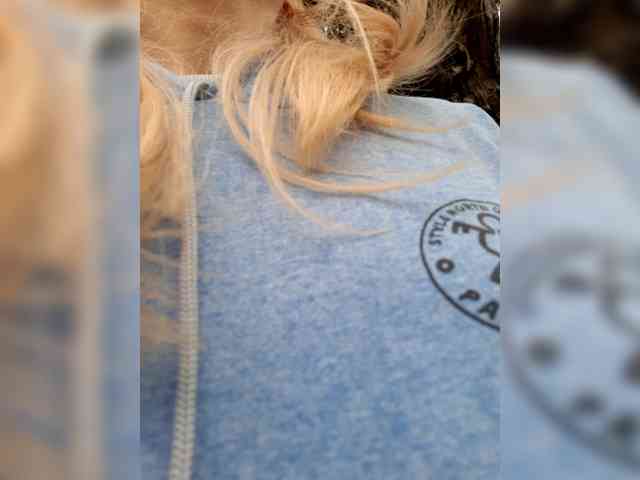 _LittleSammy webcam