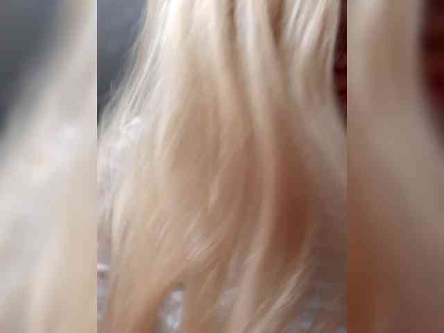 _LittleSammy webcam