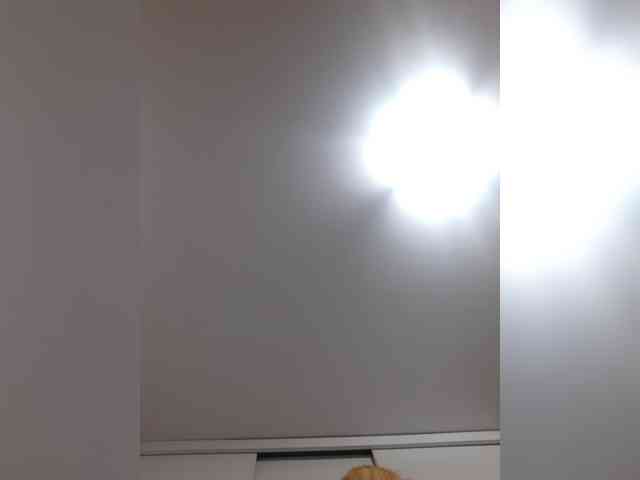_LittleSammy