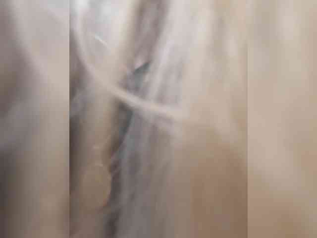_LittleSammy