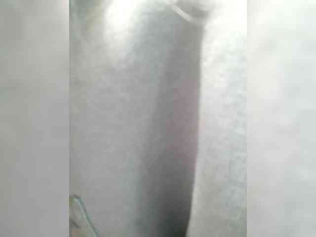 _LittleSammy webcam