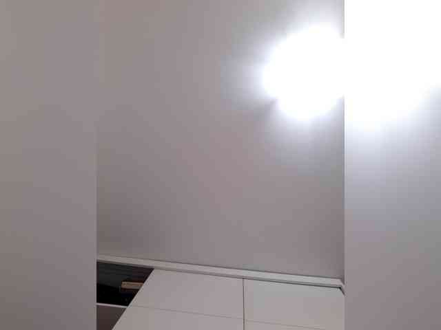 _LittleSammy webcam