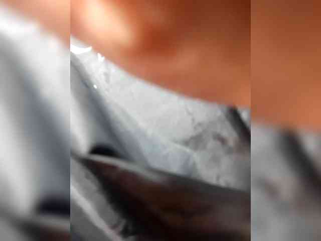_LittleSammy webcam