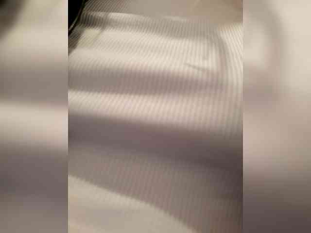 _LittleSammy