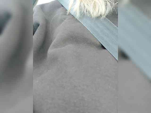 _LittleSammy webcam