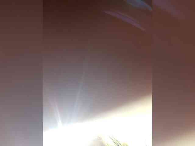 _LittleSammy webcam