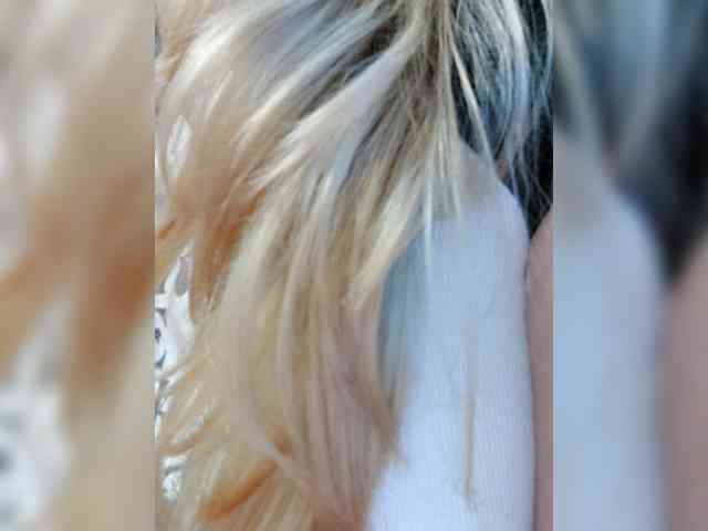 _LittleSammy webcam
