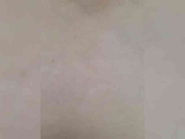 _LittleSammy webcam