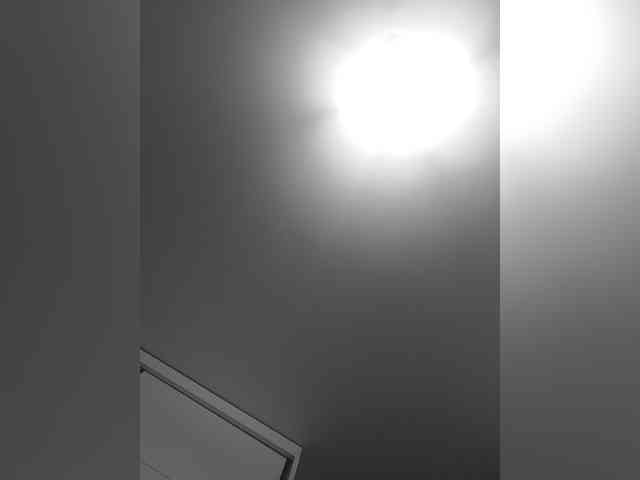 _LittleSammy webcam