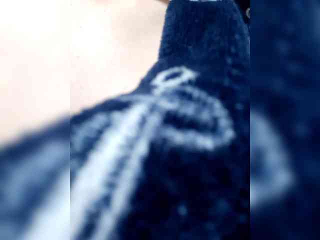 _LittleSammy webcam