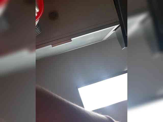 _LittleSammy