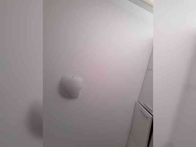 _LittleSammy webcam