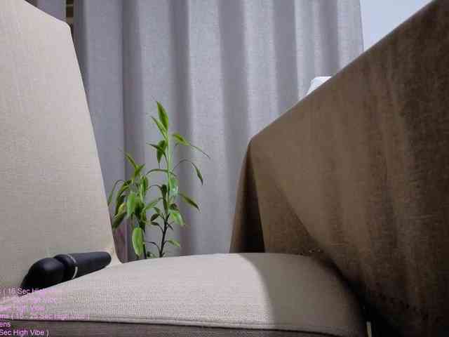 _LittleSammy webcam
