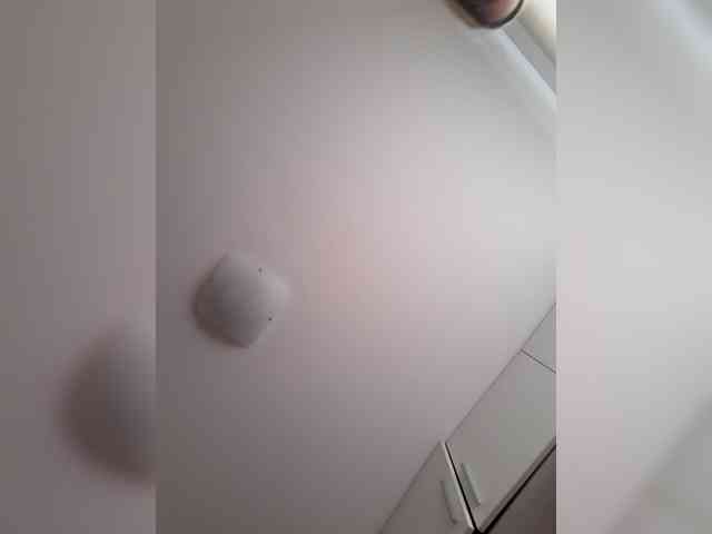 _LittleSammy webcam