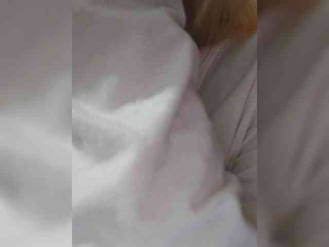 _LittleSammy webcam