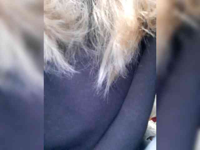 _LittleSammy webcam