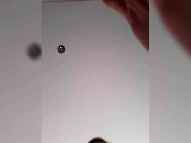 _LittleSammy webcam