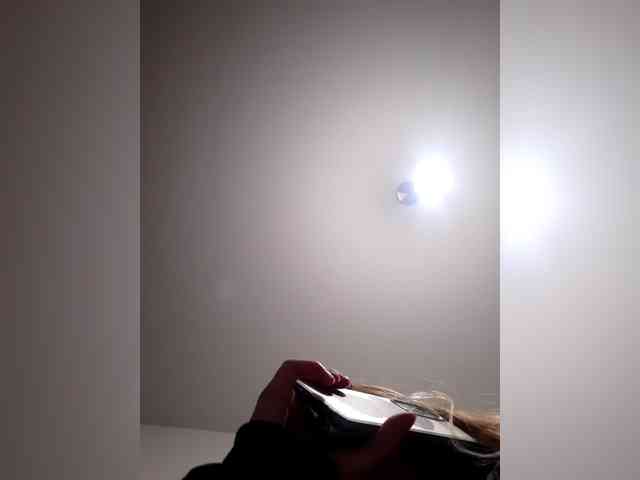 _LittleSammy webcam